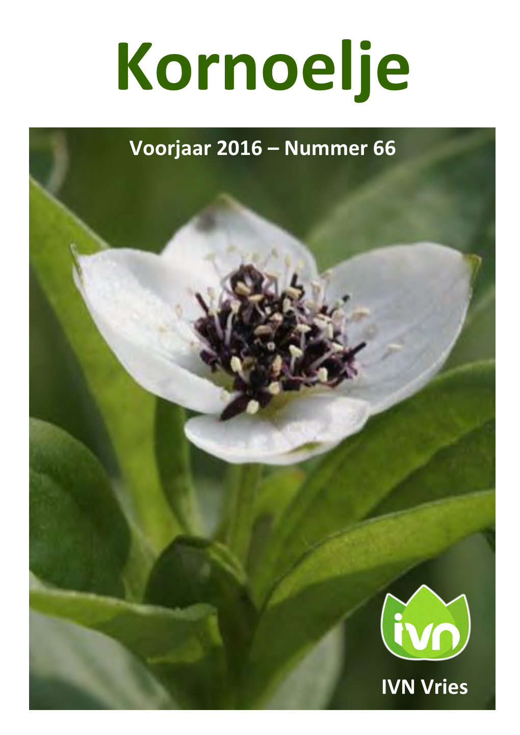 Voorjaar 2016 – Nummer 66 IVN Vries