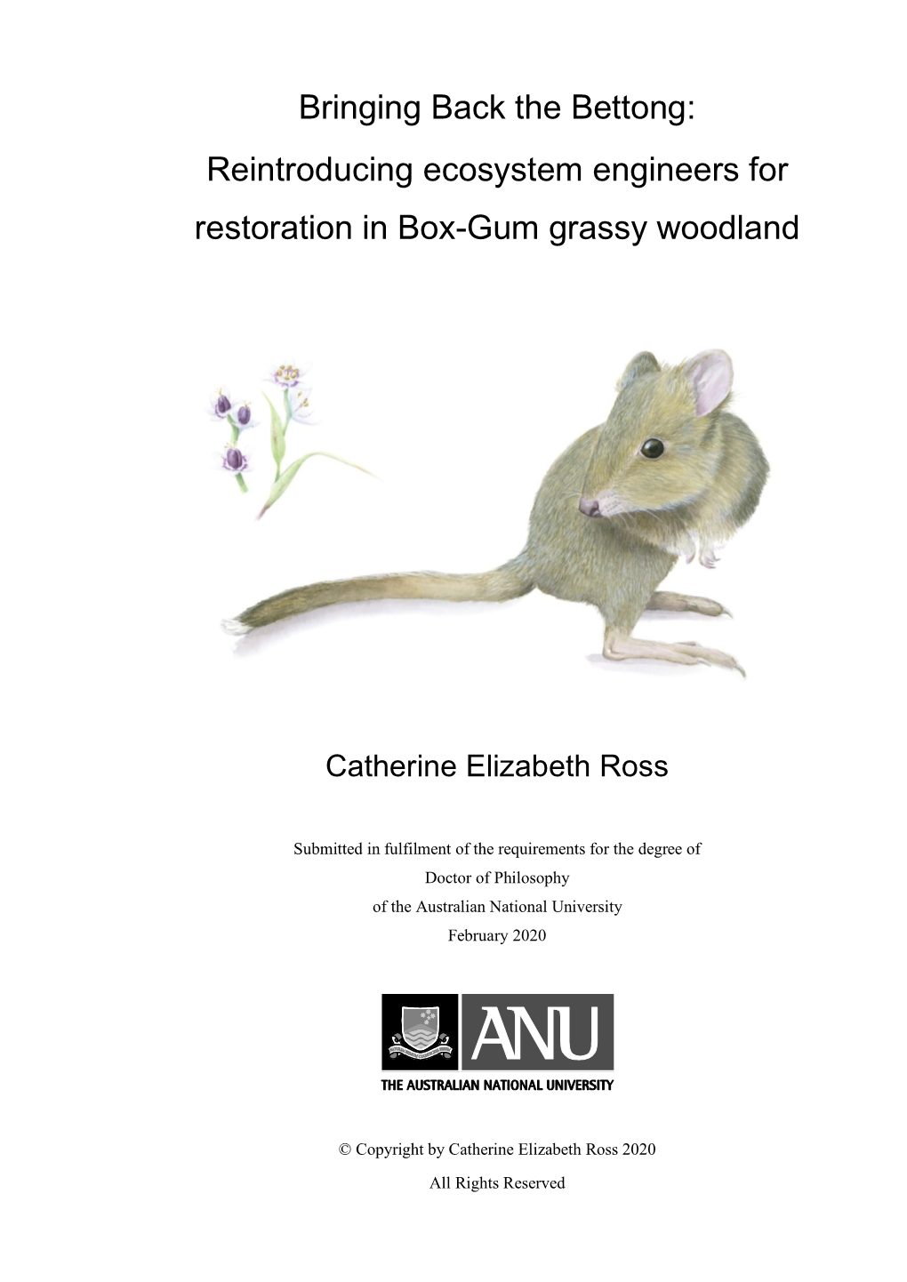 Bringing Back the Bettong: Reintroducing Ecosystem Engineers for Restoration in Box-Gum Grassy Woodland