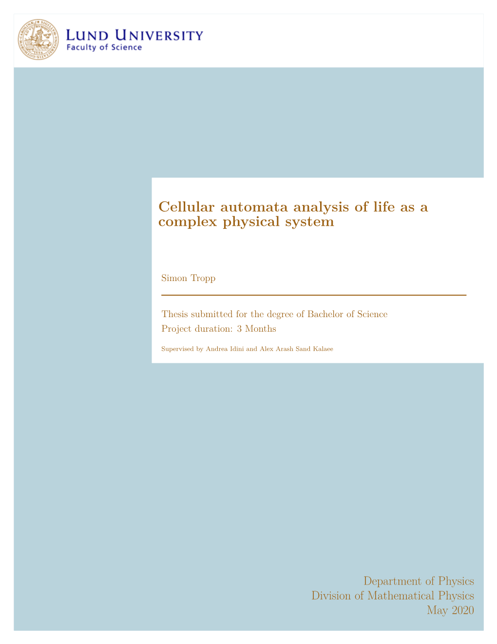 Cellular Automata Analysis of Life As a Complex Physical System
