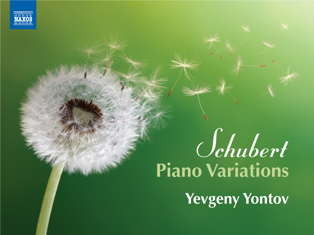 Piano Variations