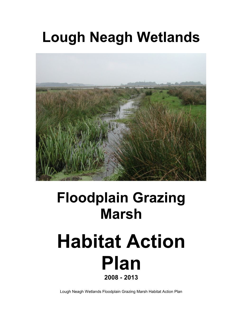 Lough Neagh Wetlands