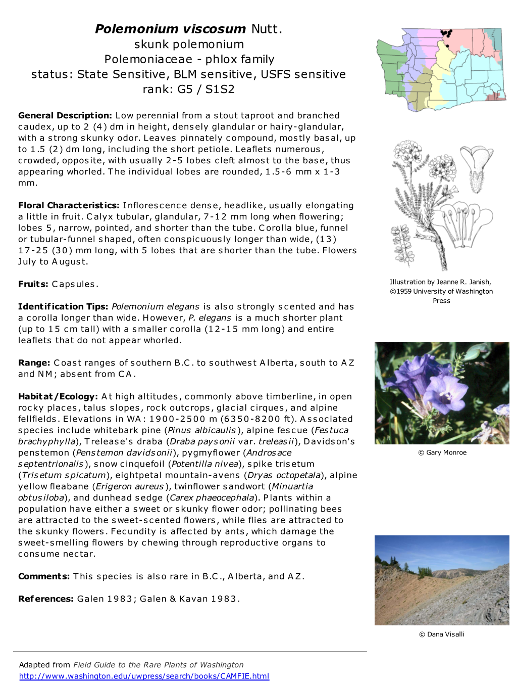 Polemonium Viscosum Nutt