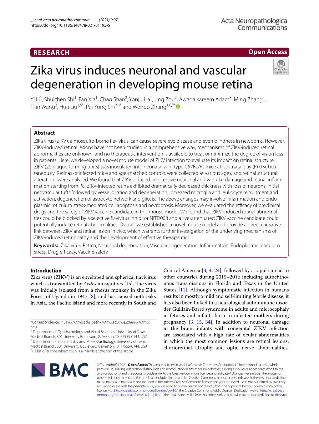 Zika Virus Induces Neuronal and Vascular Degeneration In