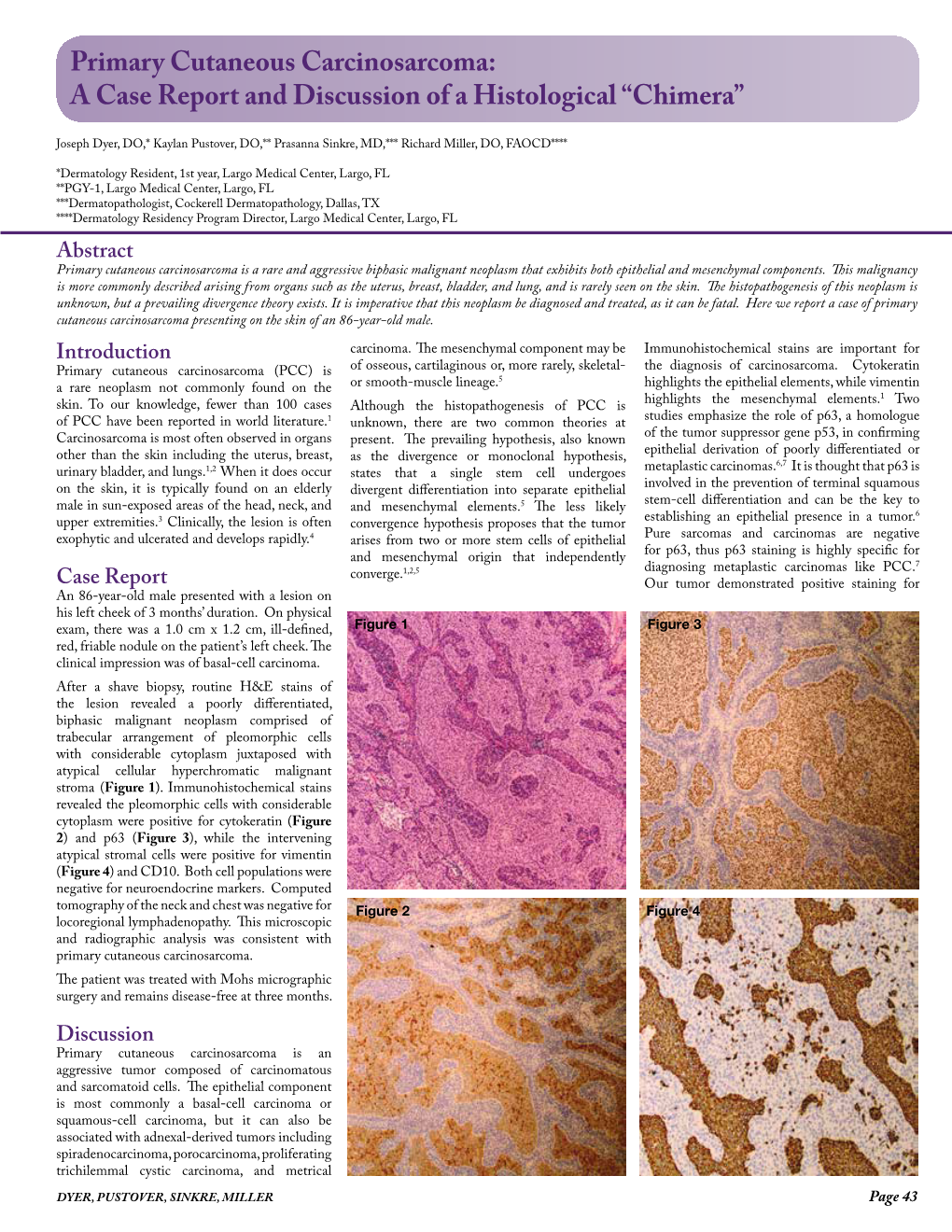 Primary Cutaneous Carcinosarcoma: a Case Report and Discussion of a Histological “Chimera”