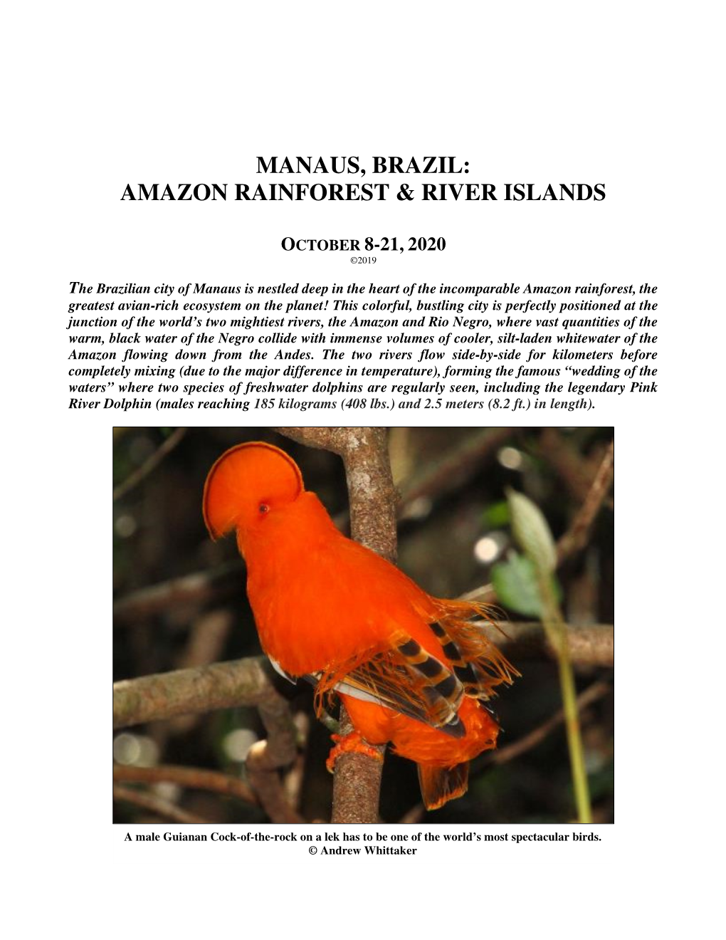 Manaus, Brazil: Amazon Rainforest & River Islands