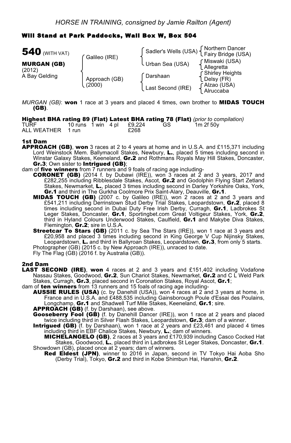 HORSE in TRAINING, Consigned by Jamie Railton (Agent)