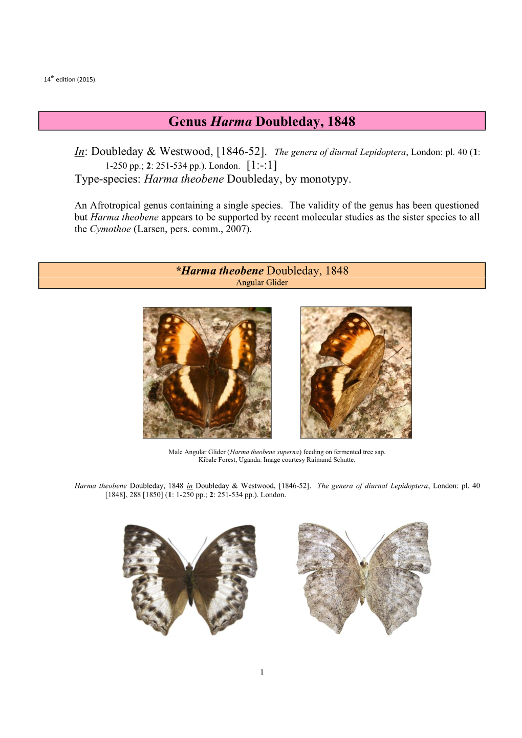 117 Genus Harma Doubleday