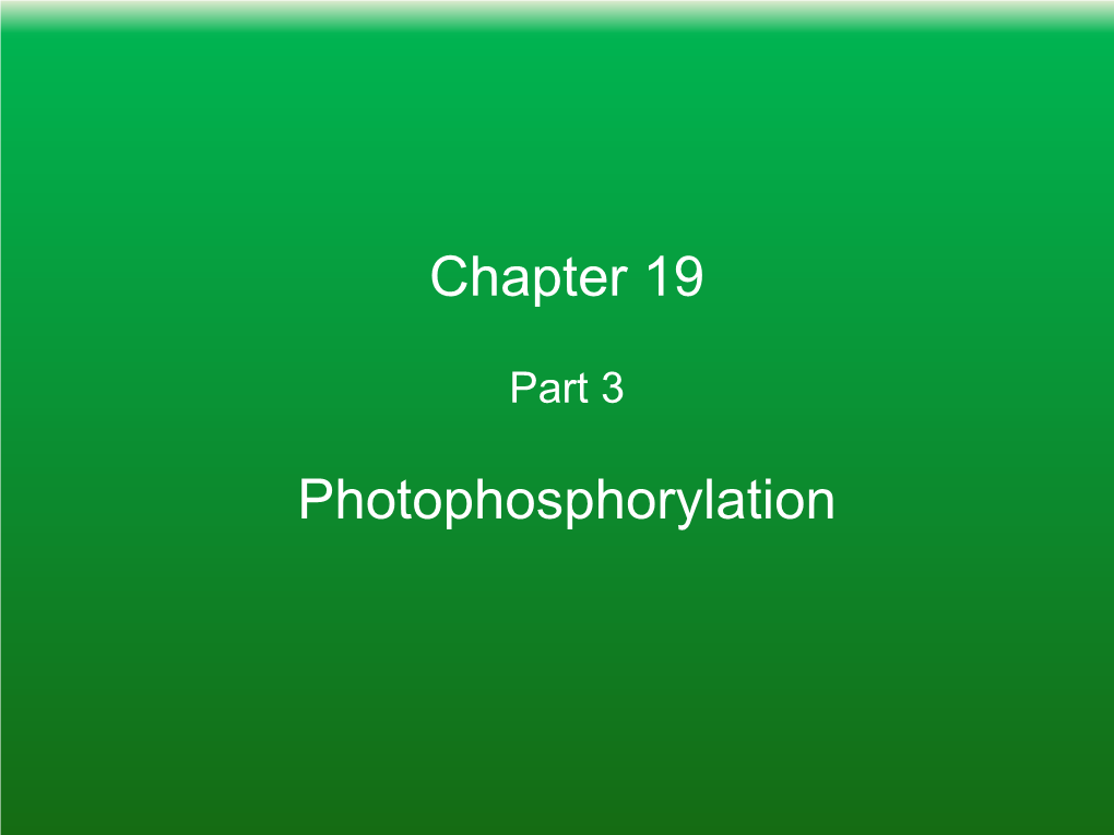 Chapter 19 Photophosphorylation