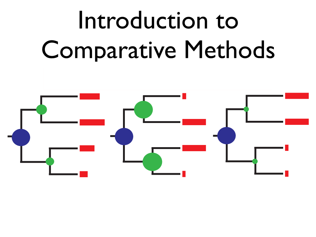 BM CC EB What Can We Learn from a Tree?