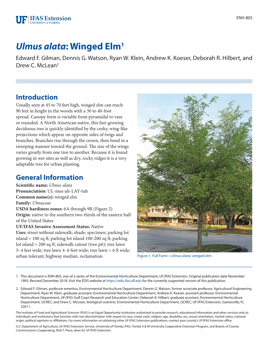 Ulmus Alata: Winged Elm1 Edward F