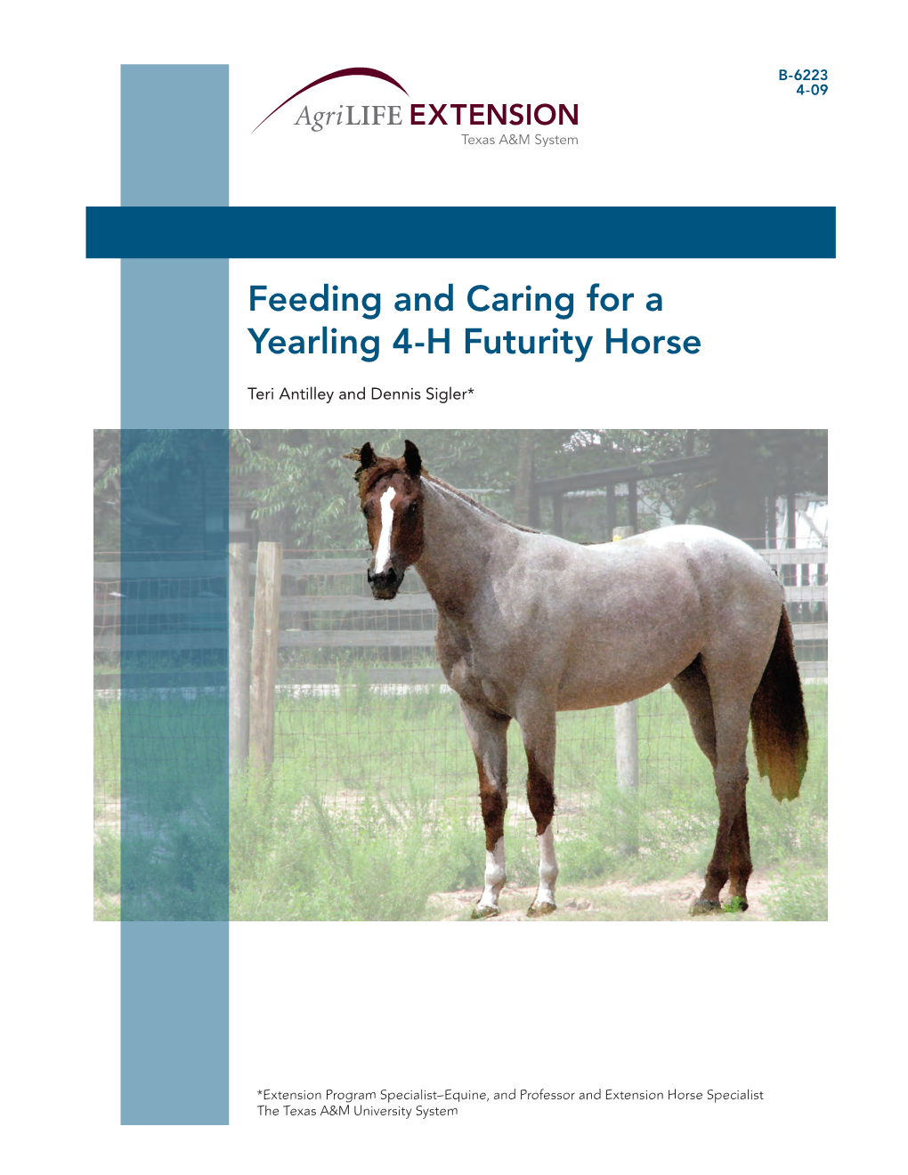 Feeding and Caring for a Yearling 4-H Futurity Horse
