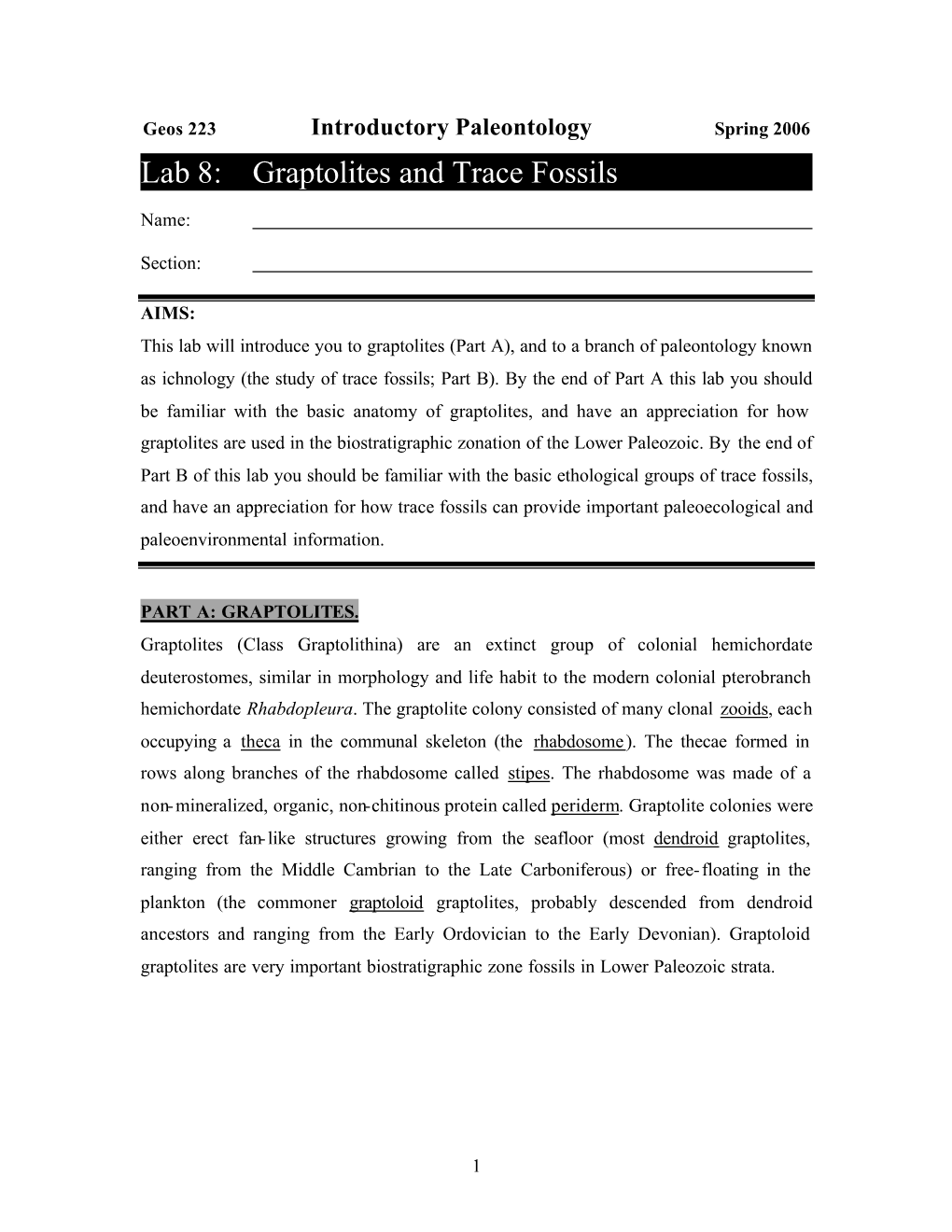 Lab 8: Graptolites and Trace Fossils