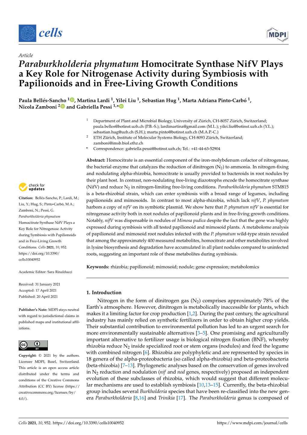 Paraburkholderia Phymatum Homocitrate Synthase Nifv Plays a Key Role for Nitrogenase Activity During Symbiosis with Papilionoids and in Free-Living Growth Conditions