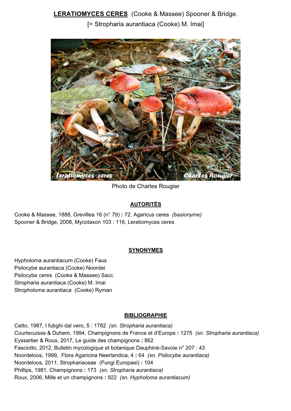 LERATIOMYCES CERES (Cooke & Massee) Spooner & Bridge