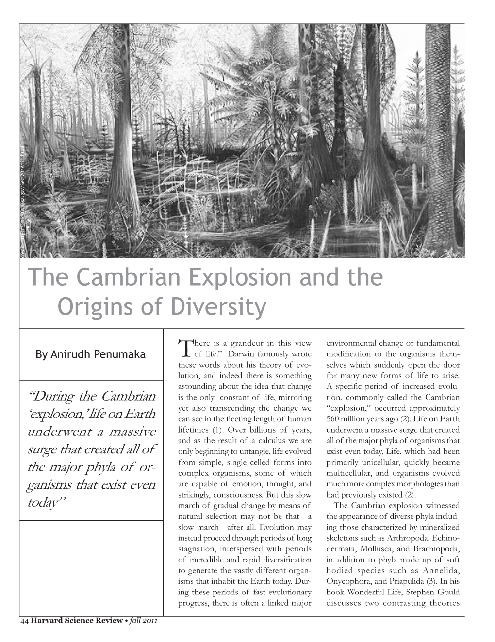 The Cambrian Explosion and the Origins of Diversity