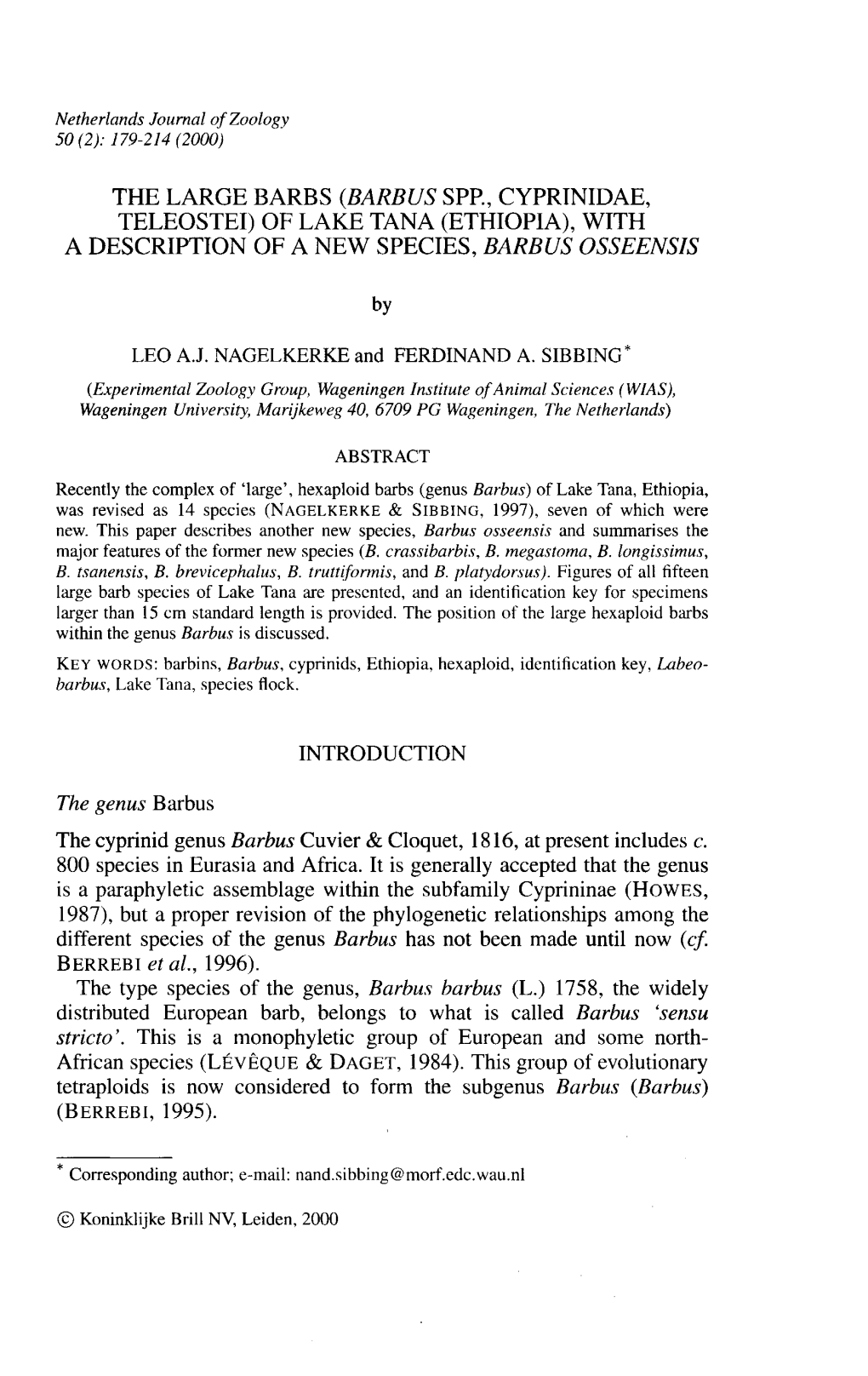 The Large Barbs (Barbus Spp., Cyprinidae, Teleostei) of Lake Tana (Ethiopia), with a Description of a New Species, Barbus Osseensis