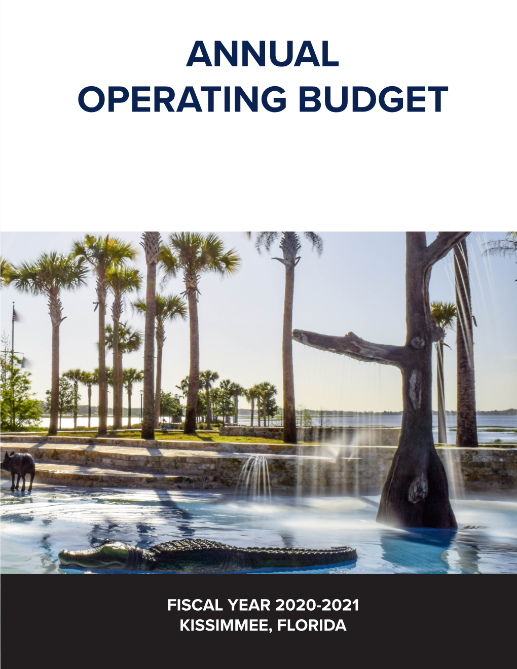 Annual Operating Budget