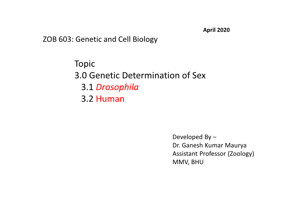 Topic 3.0 Genetic Determination of Sex 3.1 Drosophila 3.2 Human