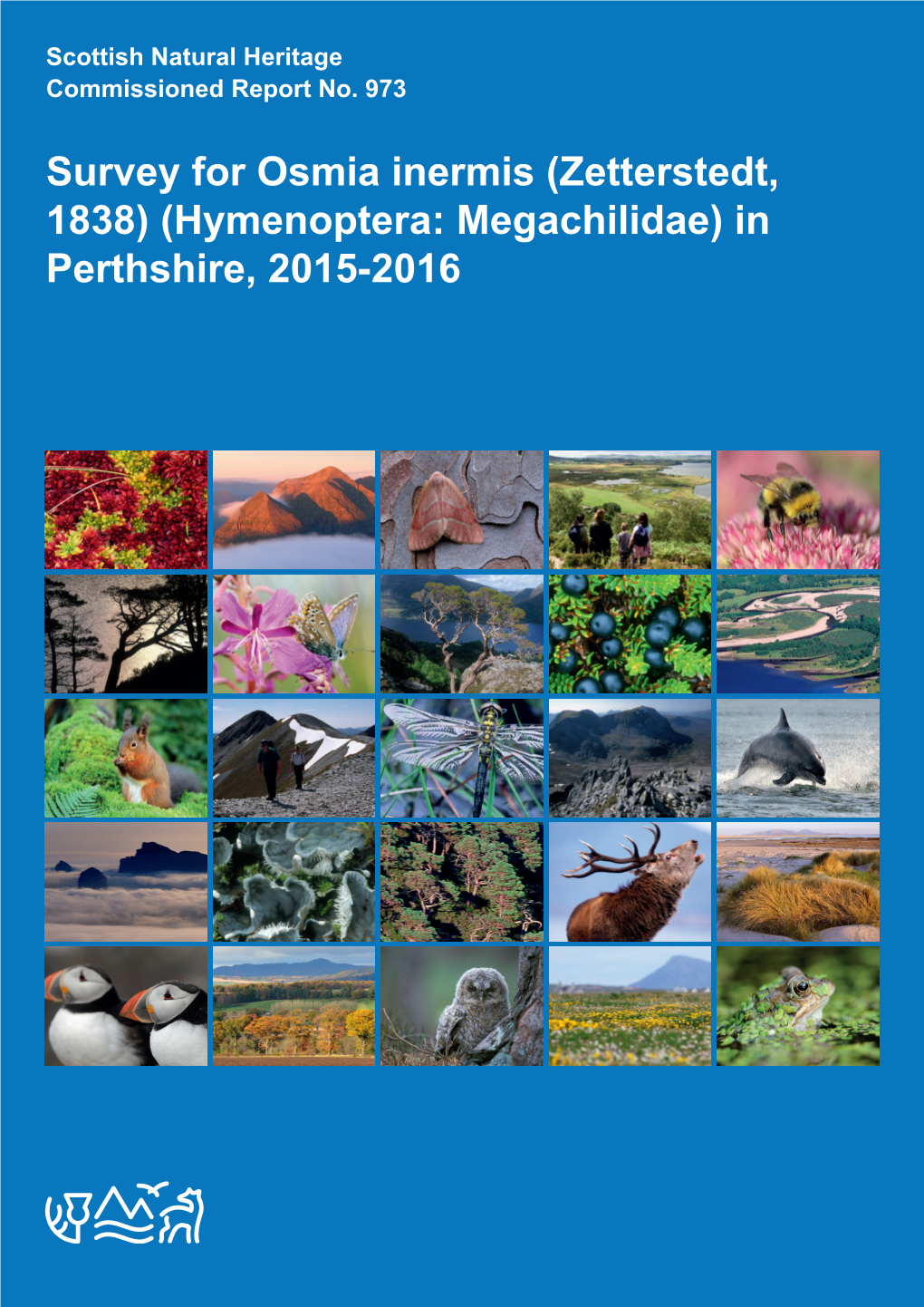 Survey for Osmia Inermis (Zetterstedt, 1838) (Hymenoptera: Megachilidae) in Perthshire, 2015-2016