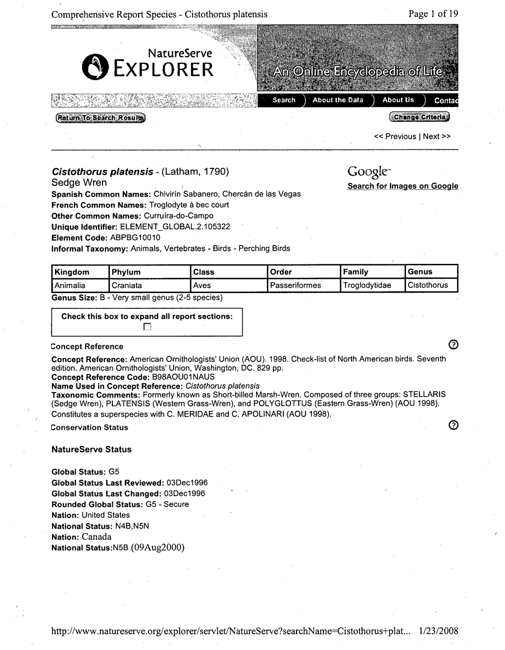 Comprehensive Report Species - Cistothorus Platensis Page I of 19