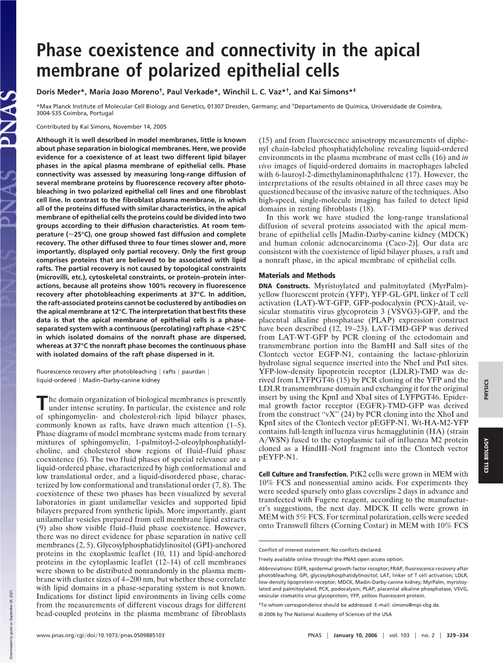 Phase Coexistence and Connectivity in the Apical Membrane of Polarized Epithelial Cells