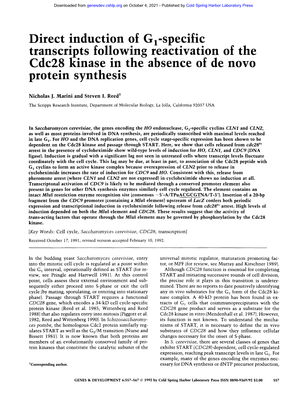 Direct Induction of Gj-Specific Transcripts Following Reactivation of the Cdc28 Kinase in the Absence of De Novo Protein Synthesis