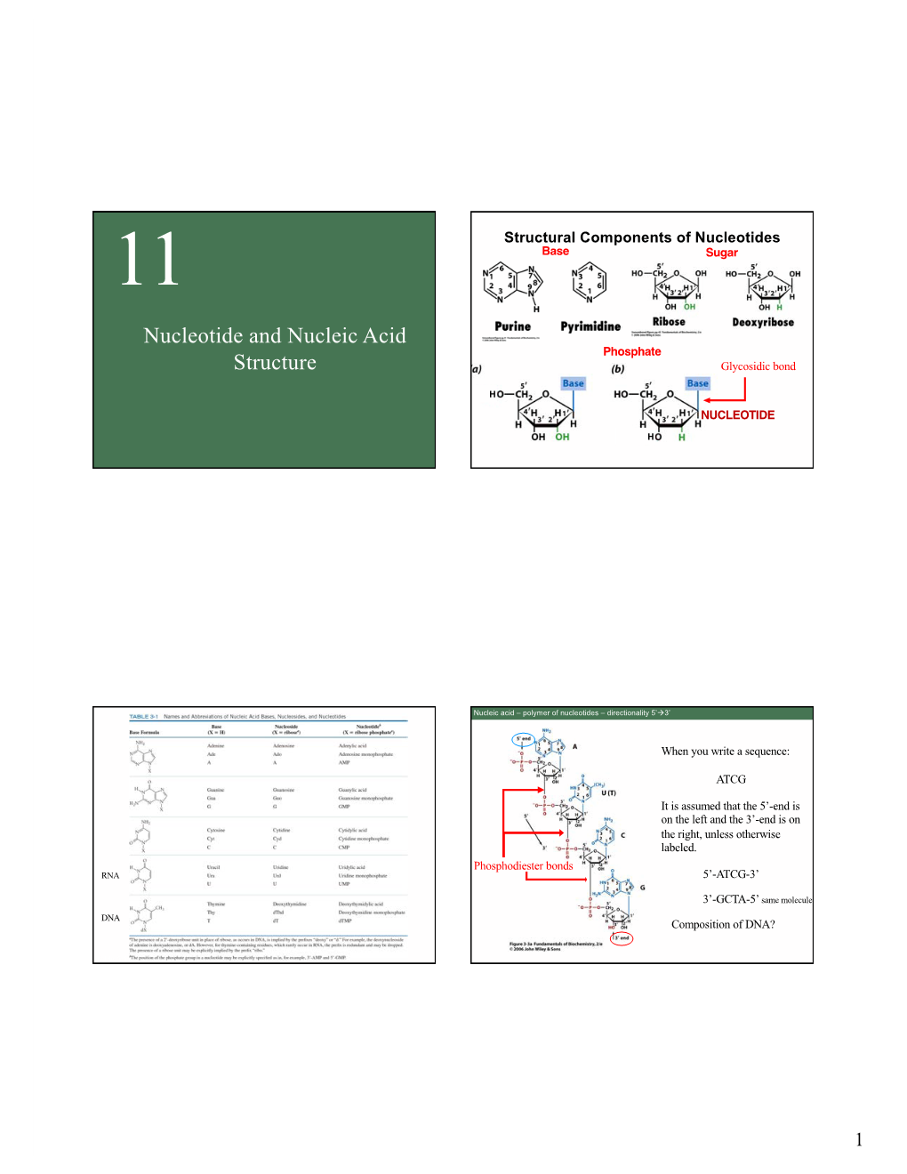 Foundations of Molecular Biologydtv2.Pptx