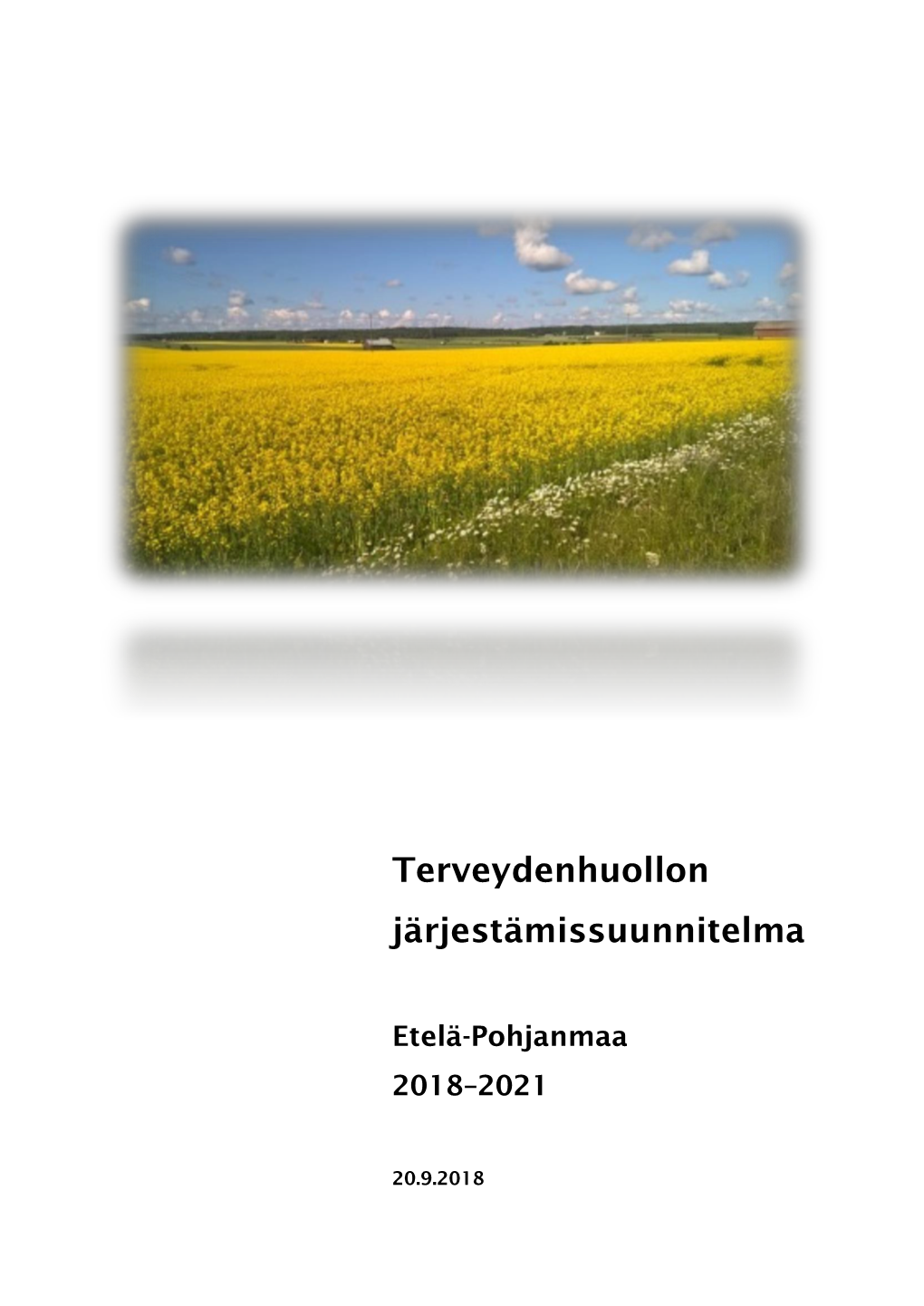 Terveydenhuollon Järjestämissuunnitelma