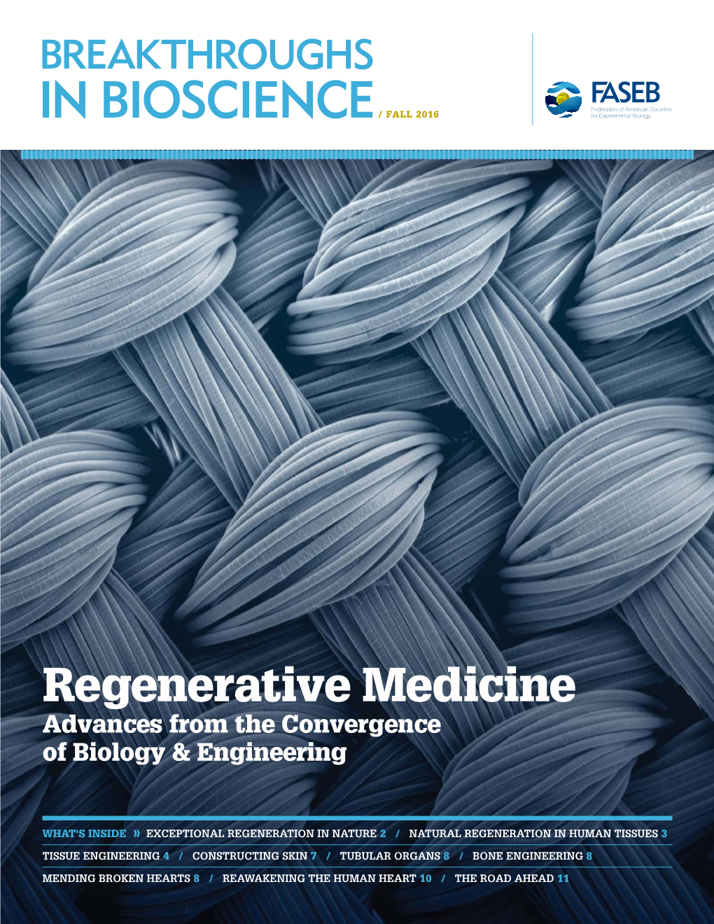 BREAKTHROUGHS in BIOSCIENCE/ ADVISORY COMMITTEE REGENERATIVE MEDICINE CHAIR» AUTHOR» Paula H