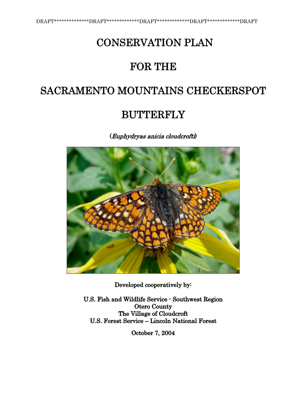 Sacramento Mountains Checkerspot Butterfly (Euphydryas Anicia Cloudcrofti)