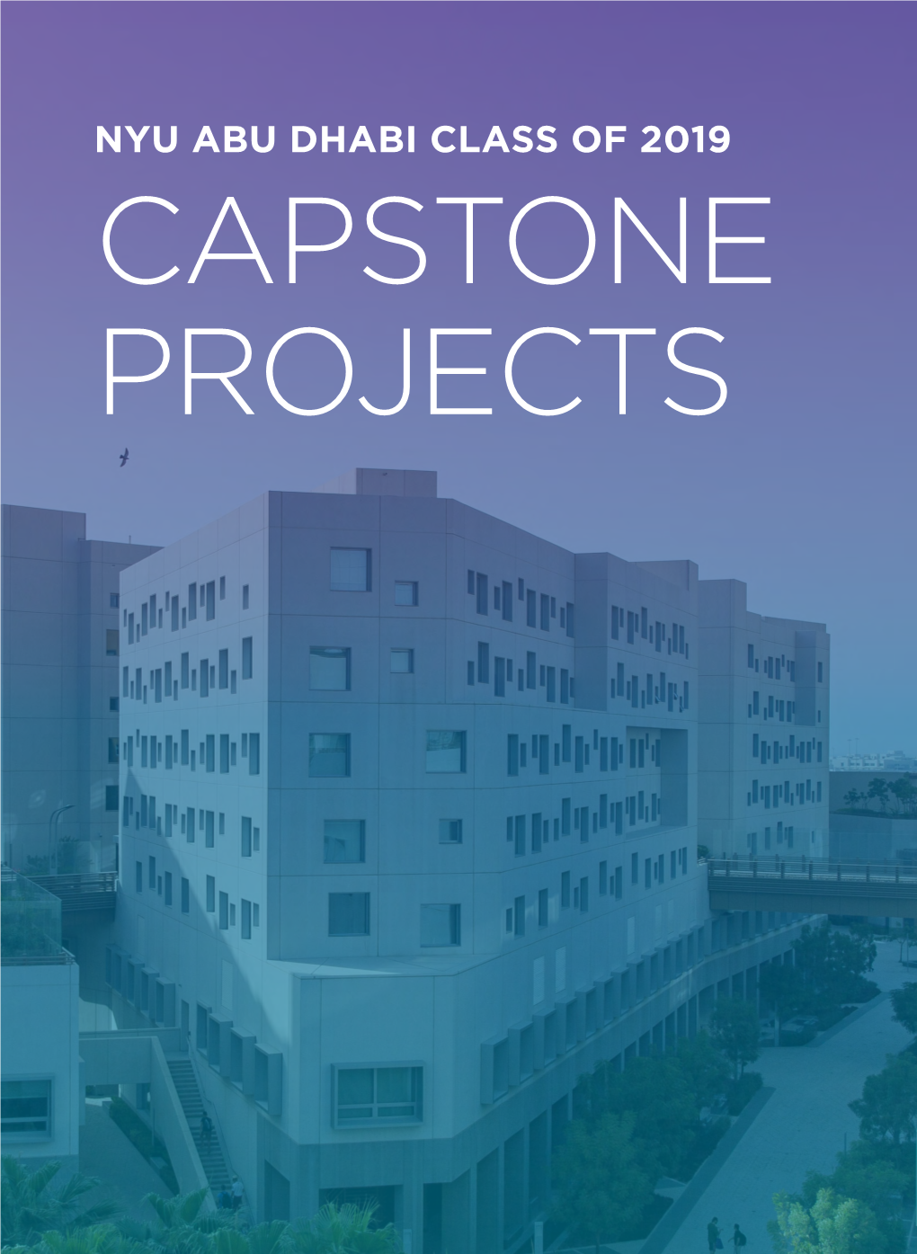 Nyu Abu Dhabi Class of 2019 Capstone Projects