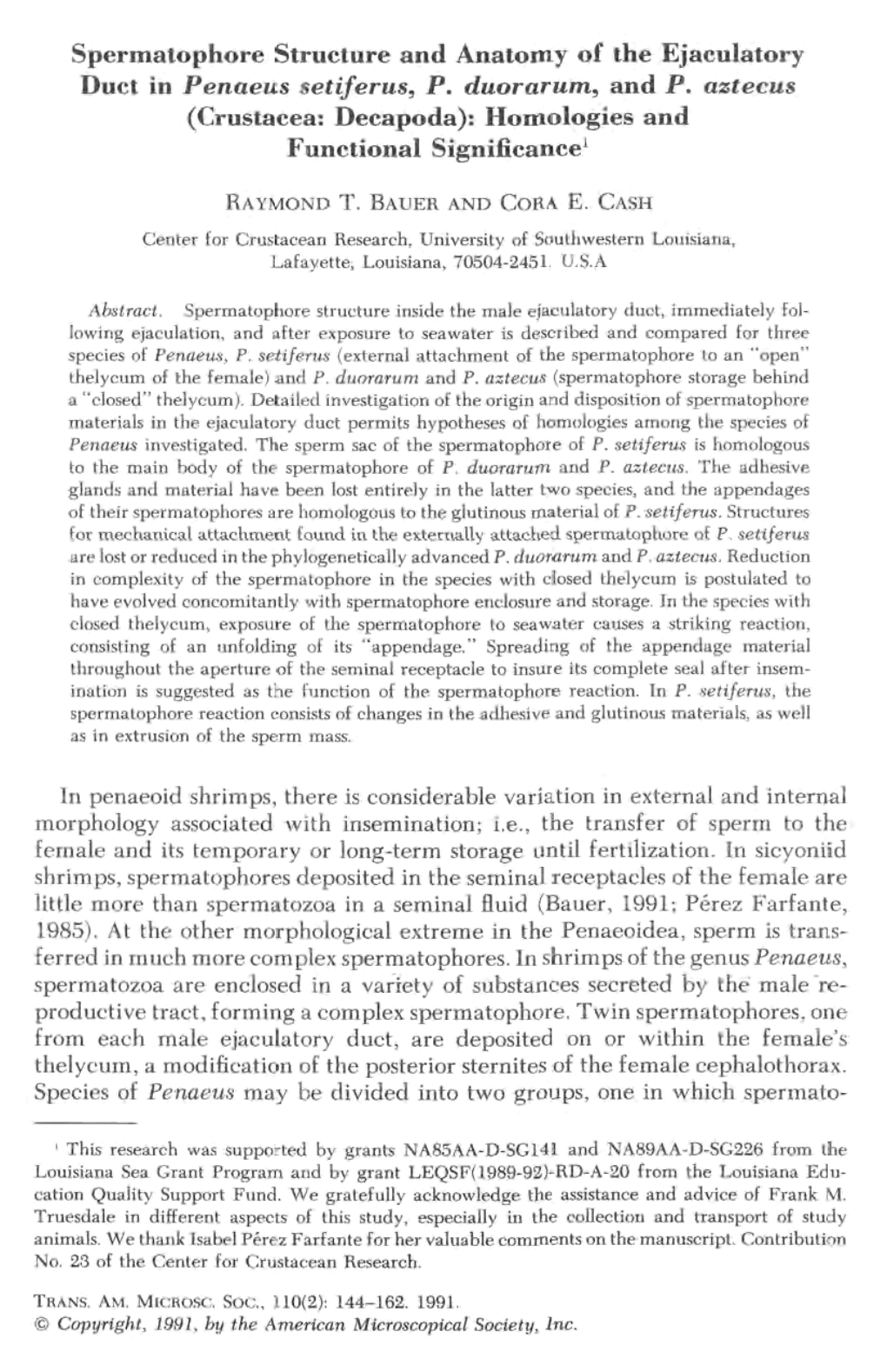 Spermatophore Structure and Anatomy of the Ejaculatory Duct in Penaeus Setiferus, P. Duorarum, and P. Aztecus (Crustacea: Decapo