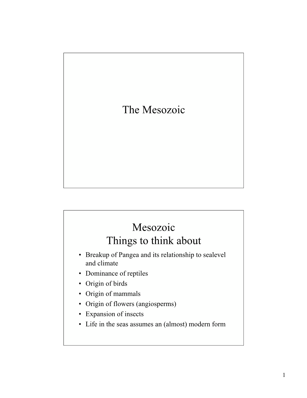 The Mesozoic Mesozoic Things to Think About