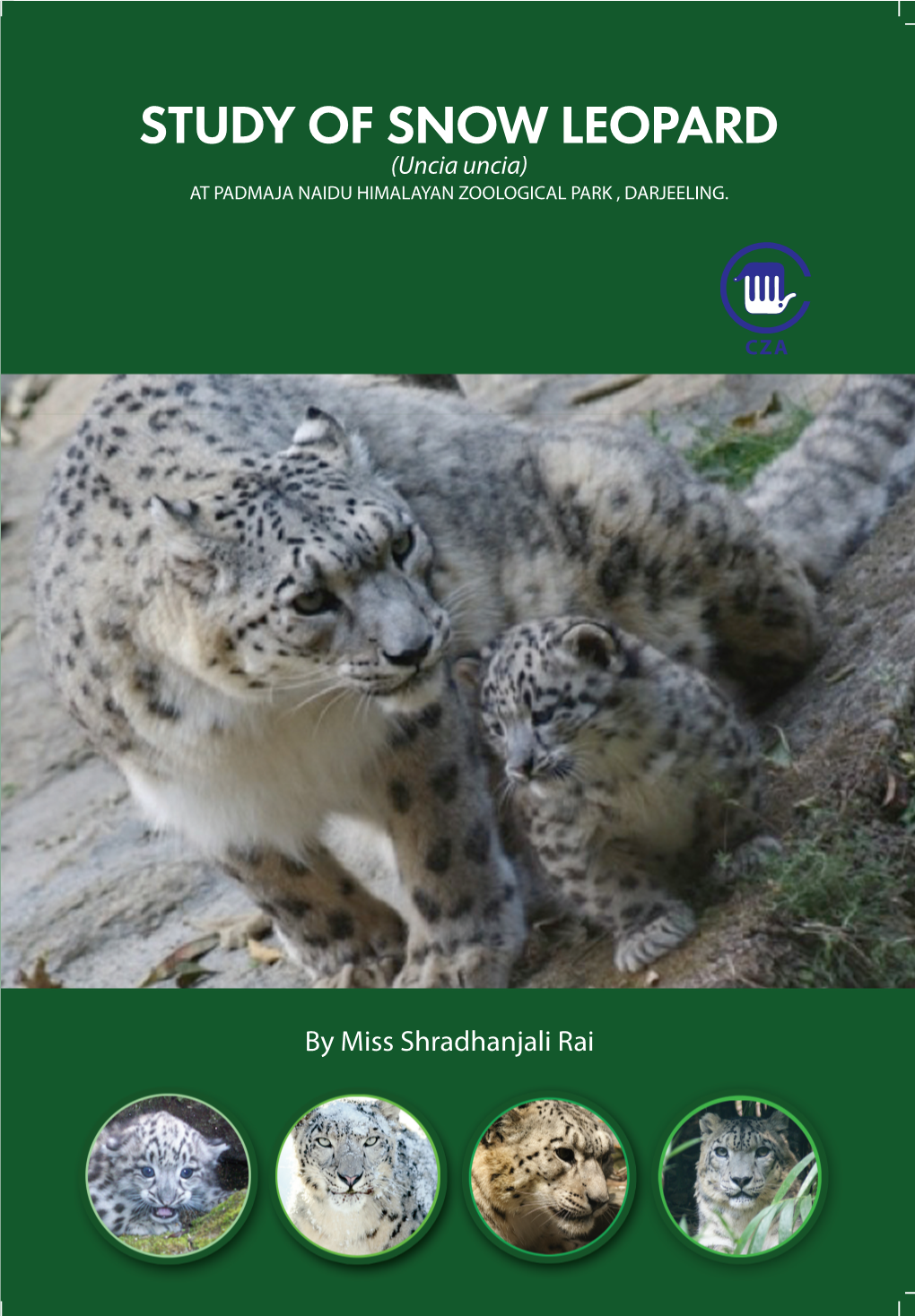 STUDY of SNOW LEOPARD (Uncia Uncia) at PADMAJA NAIDU HIMALAYAN ZOOLOGICAL PARK , DARJEELING