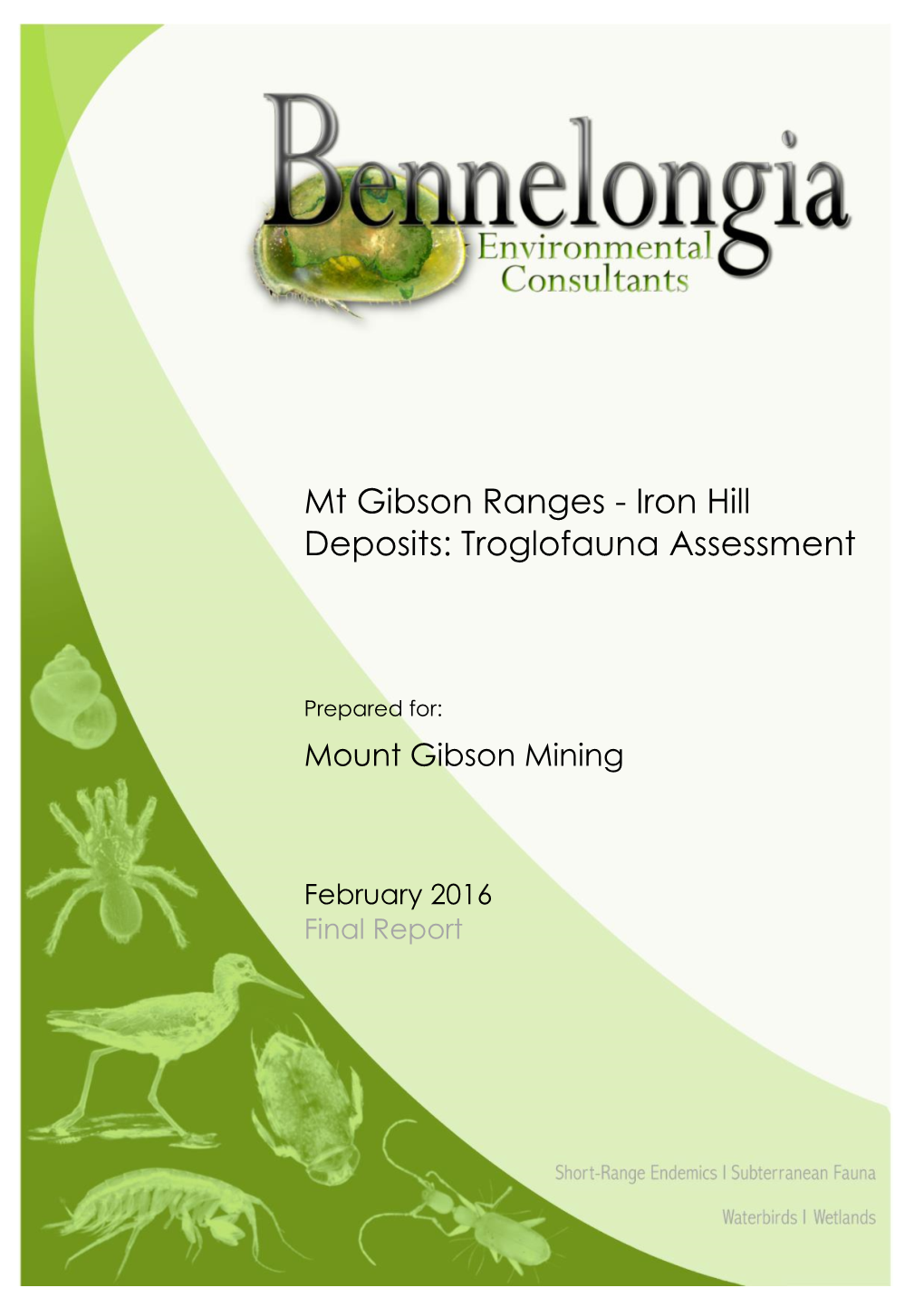 Mt Gibson Ranges - Iron Hill Deposits: Troglofauna Assessment