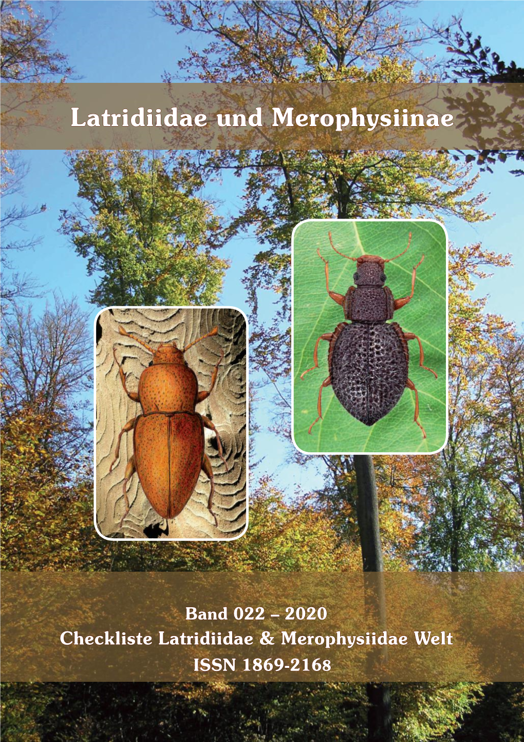 Latridiidae Und Merophysiinae