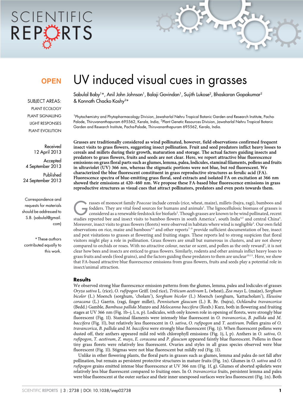 UV Induced Visual Cues in Grasses