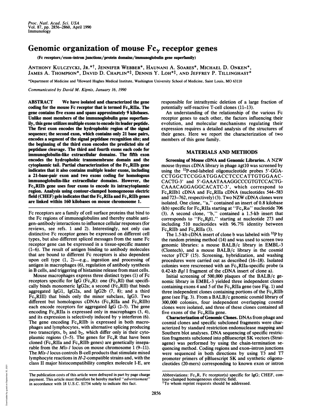 Genomic Organization of Mouse Fcy Receptor Genes