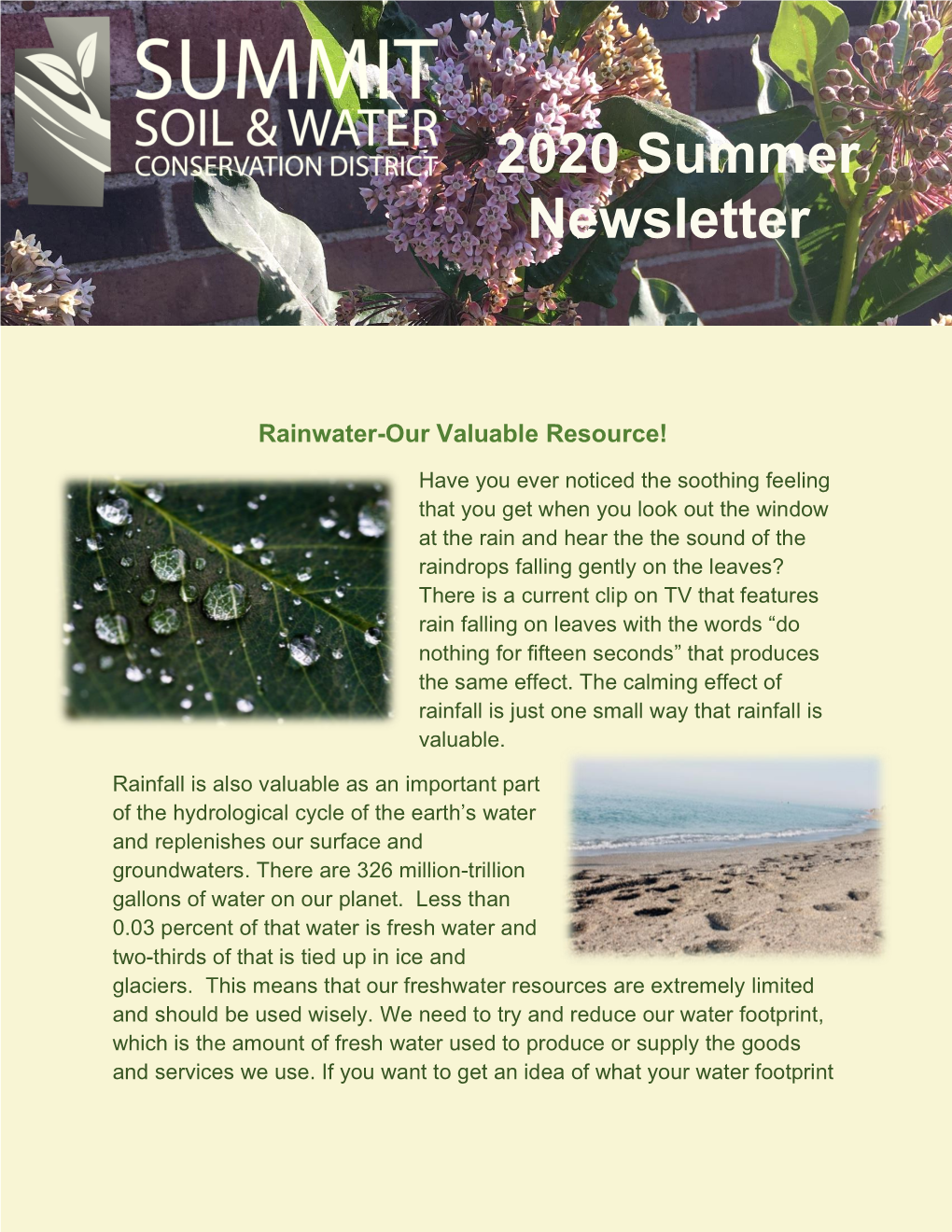 2020 Summer Newsletter