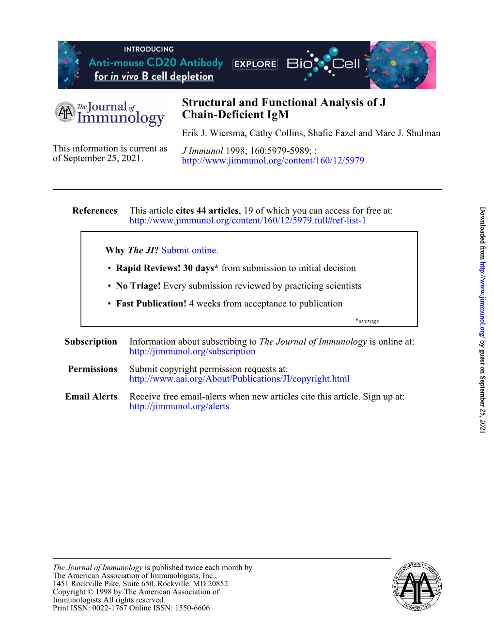 Chain-Deficient Igm Structural and Functional Analysis of J