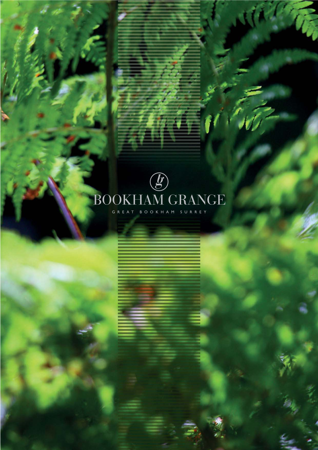 Bookham Grange Brochure.Pdf