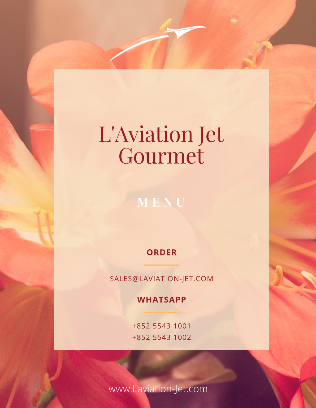 L'aviation Jet Gourmet