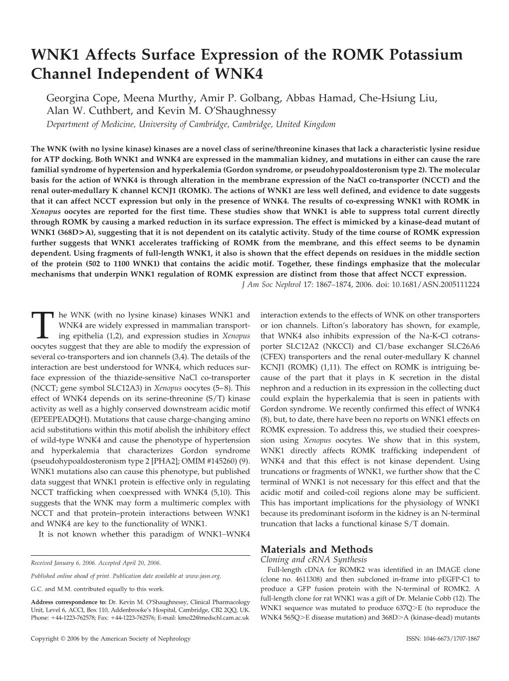 WNK1 Affects Surface Expression of the ROMK Potassium Channel Independent of WNK4