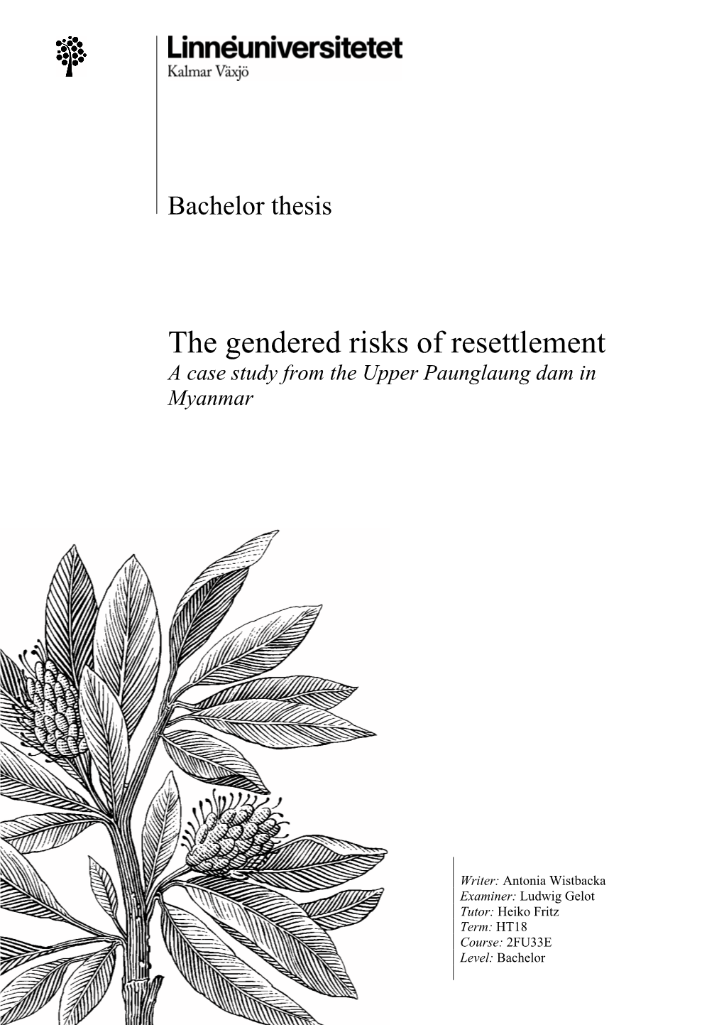 The Gendered Risks of Resettlement a Case Study from the Upper Paunglaung Dam in Myanmar