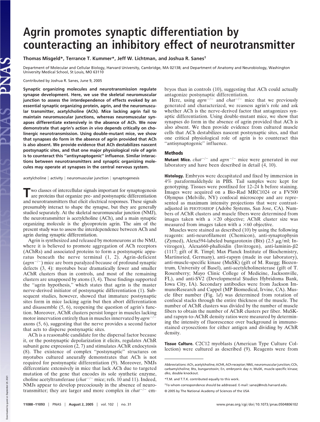 Agrin Promotes Synaptic Differentiation by Counteracting an Inhibitory Effect of Neurotransmitter