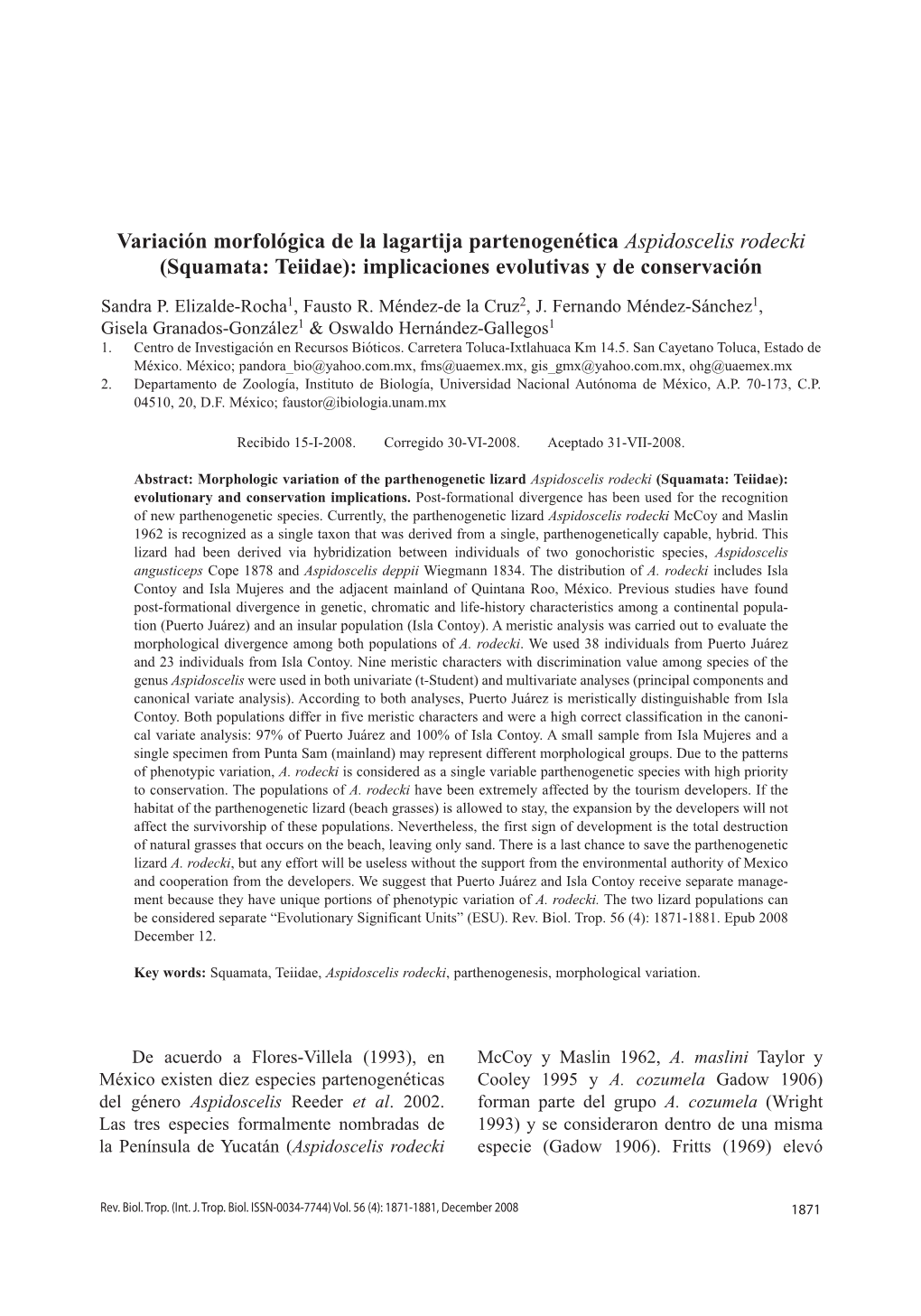 Variación Morfológica De La Lagartija Partenogenética Aspidoscelis Rodecki (Squamata: Teiidae): Implicaciones Evolutivas Y De Conservación