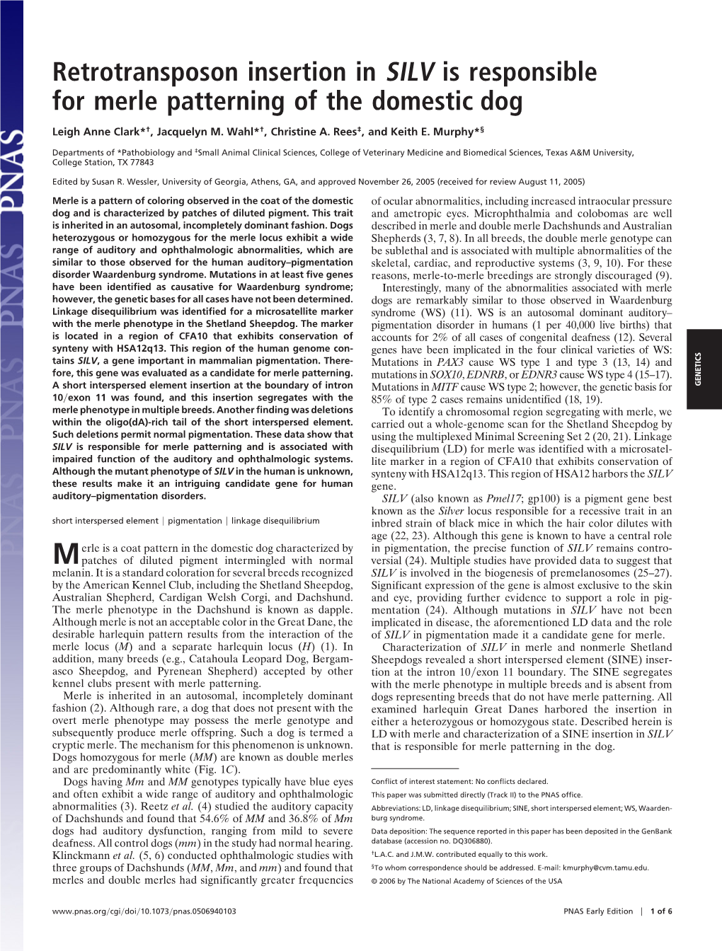 Retrotransposon Insertion in SILV Is Responsible for Merle Patterning of the Domestic Dog