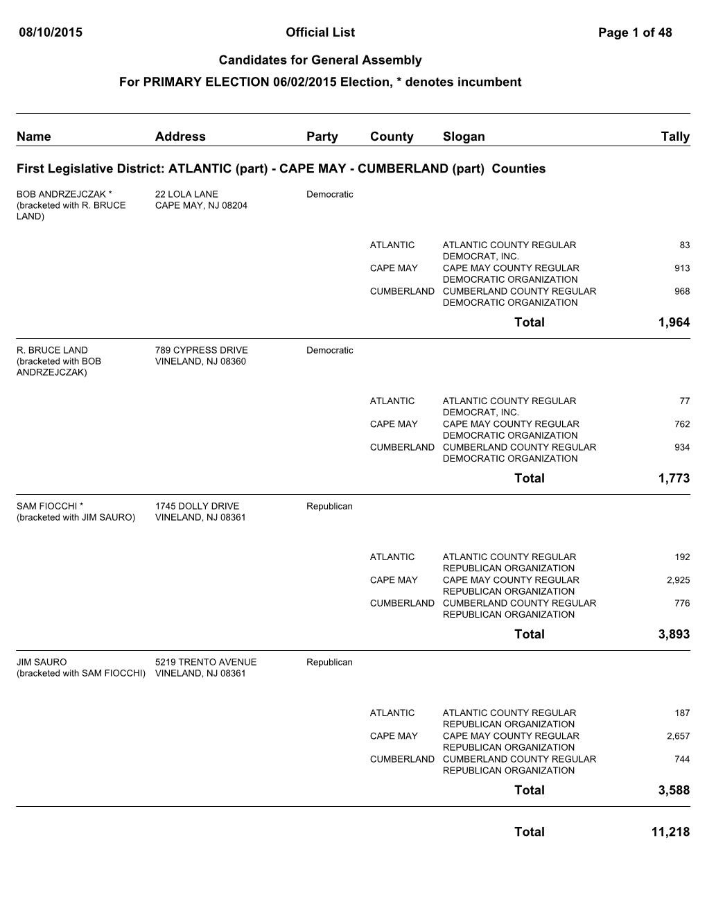 Primary Election Results