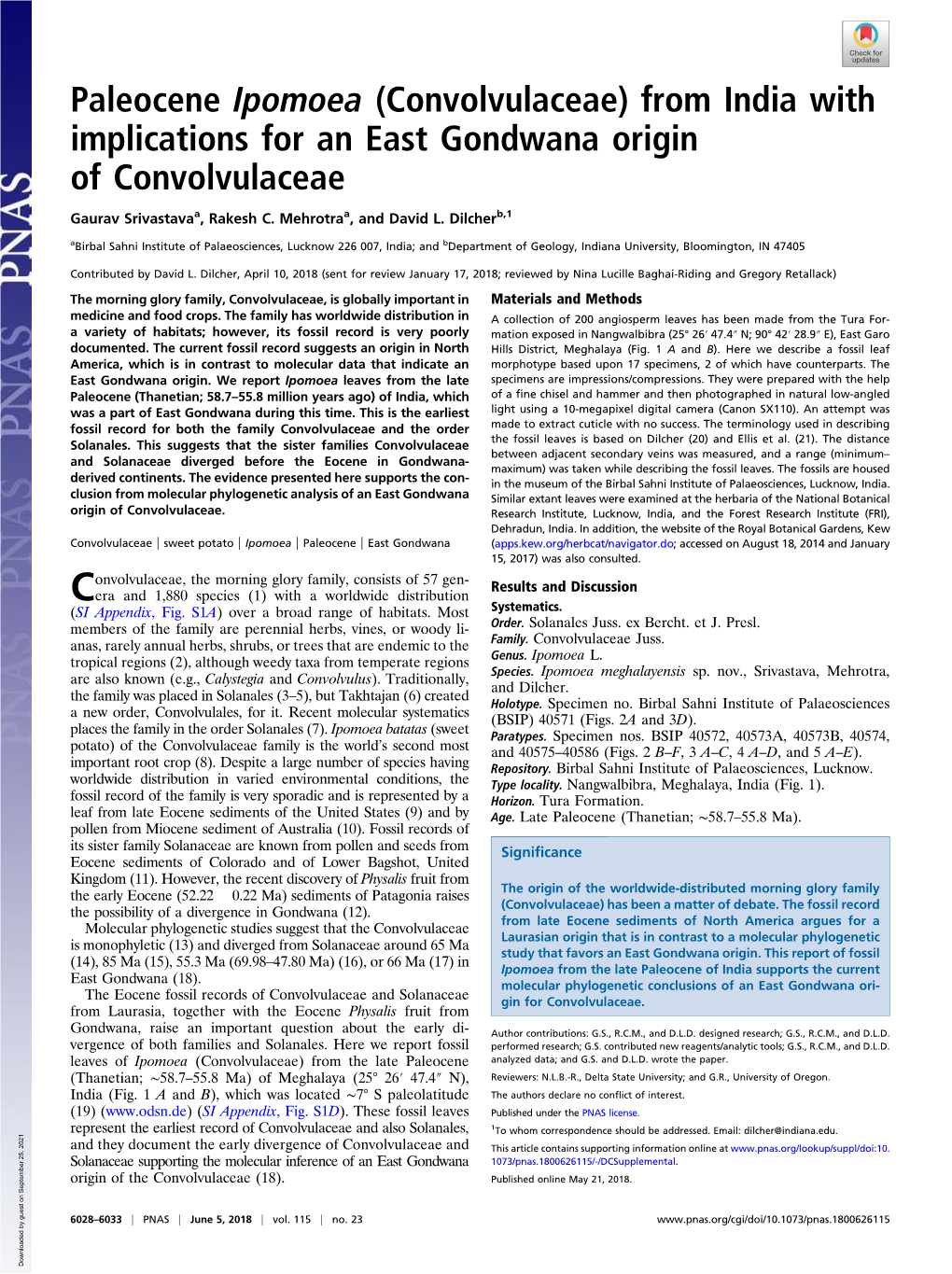 From India with Implications for an East Gondwana Origin of Convolvulaceae