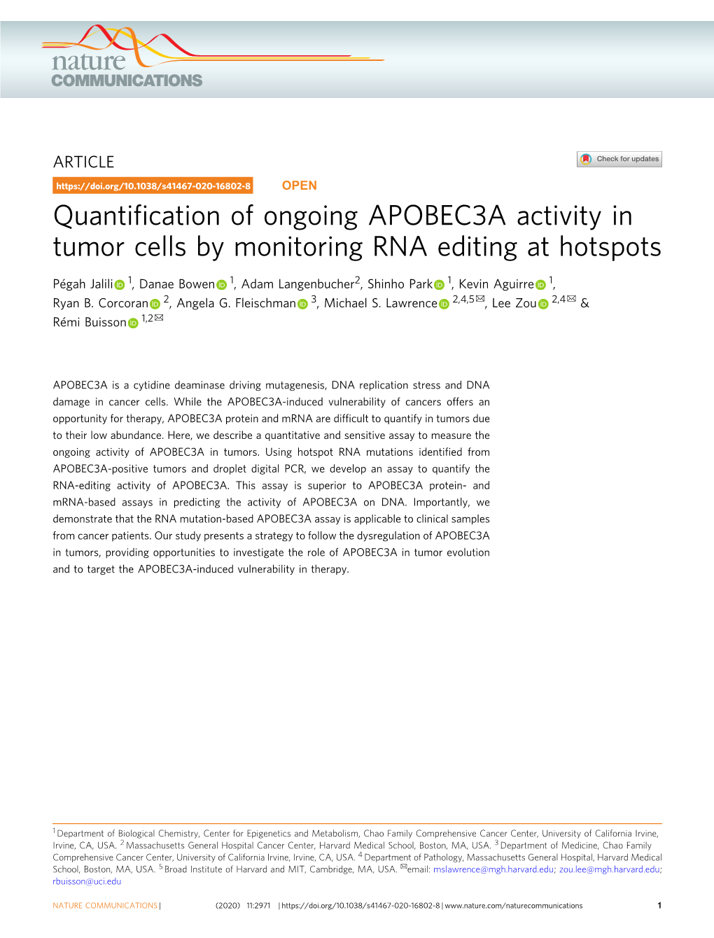 Quantification of Ongoing APOBEC3A Activity in Tumor Cells by Monitoring